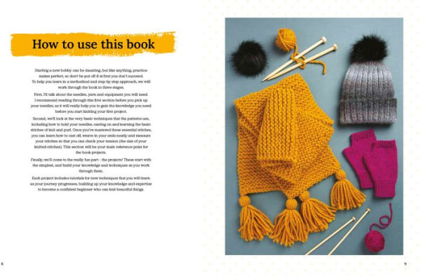 Beginner's Guide to Knitting, The: Easy techniques and 8 fun projects