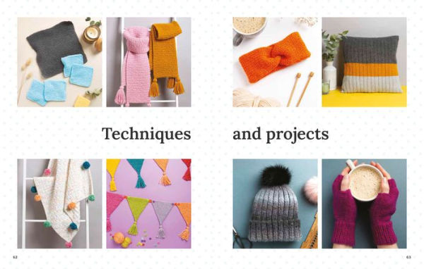 Beginner's Guide to Knitting, The: Easy techniques and 8 fun projects