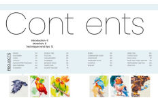 Alternative view 10 of Simply Paint Birds: A complete watercolour course for beginners