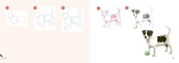Draw 30: Animals: in easy steps