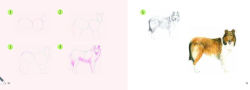 Alternative view 7 of Draw 30: Dogs: in easy steps