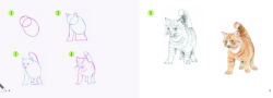 Alternative view 5 of Draw 30: Cats: in easy steps