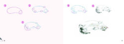 Alternative view 10 of Draw 30: Cats: in easy steps