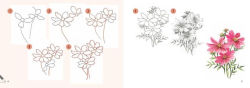 Alternative view 2 of Draw 30: Flowers: in easy steps