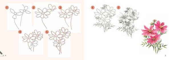 Draw 30: Flowers: in easy steps