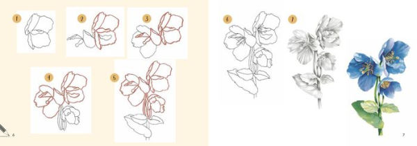 Draw 30: Flowers: in easy steps