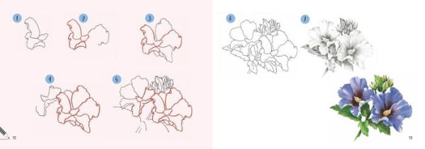 Draw 30: Flowers: in easy steps