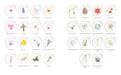 Alternative view 3 of Draw in 10 Minutes: Botanicals: Learn how to draw in 50 quick sketches