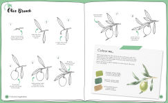 Alternative view 6 of Draw in 10 Minutes: Botanicals: Learn how to draw in 50 quick sketches