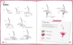 Alternative view 8 of Draw in 10 Minutes: Botanicals: Learn how to draw in 50 quick sketches