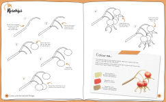 Alternative view 10 of Draw in 10 Minutes: Botanicals: Learn how to draw in 50 quick sketches