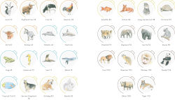 Alternative view 3 of Draw in 10 Minutes: Animals: Learn how to draw in 50 quick sketches
