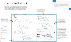 Alternative view 4 of Draw in 10 Minutes: Animals: Learn how to draw in 50 quick sketches