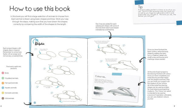 Draw in 10 Minutes: Animals: Learn how to draw in 50 quick sketches