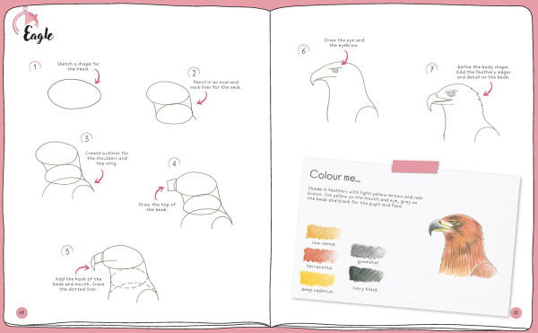 Draw in 10 Minutes: Animals: Learn how to draw in 50 quick sketches