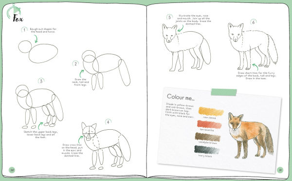Draw in 10 Minutes: Animals: Learn how to draw in 50 quick sketches