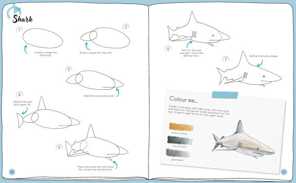 Draw in 10 Minutes: Animals: Learn how to draw in 50 quick sketches