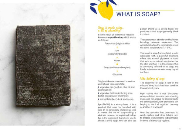 Handmade Spa: Natural Soaps, The: Indulge yourself with 16 eco-friendly recipes to make at home