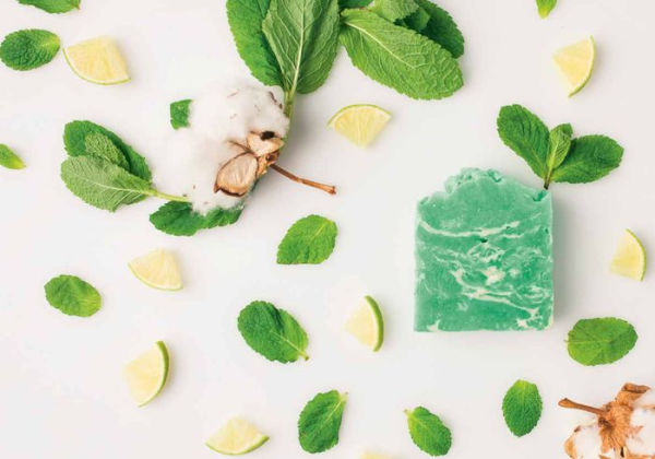 Handmade Spa: Natural Soaps, The: Indulge yourself with 16 eco-friendly recipes to make at home