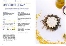 Alternative view 20 of Handmade Spa: Natural Soaps, The: Indulge yourself with 16 eco-friendly recipes to make at home
