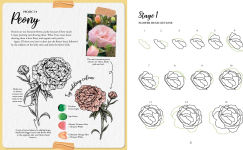 Alternative view 11 of The Kew Book of Drawing Flora and Fauna: 20 stunning step-by-step tutorials