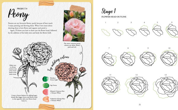 The Kew Book of Drawing Flora and Fauna: 20 stunning step-by-step tutorials
