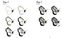 Alternative view 3 of The Kew Book of Drawing Flora and Fauna: 20 stunning step-by-step tutorials