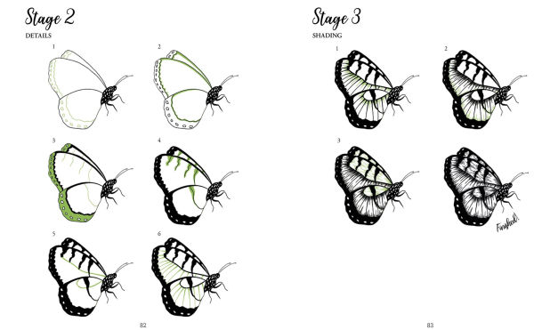 The Kew Book of Drawing Flora and Fauna: 20 stunning step-by-step tutorials