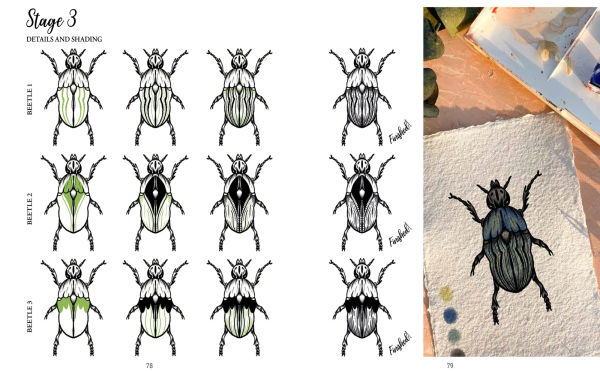 The Kew Book of Drawing Flora and Fauna: 20 stunning step-by-step tutorials
