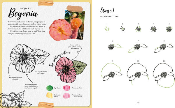 The Kew Book of Drawing Flora and Fauna: 20 stunning step-by-step tutorials