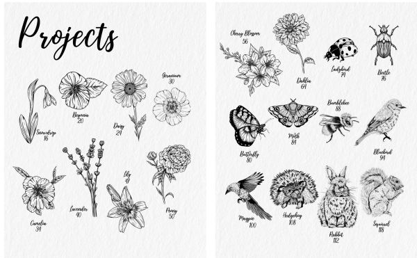The Kew Book of Drawing Flora and Fauna: 20 stunning step-by-step tutorials