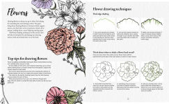 Alternative view 8 of The Kew Book of Drawing Flora and Fauna: 20 stunning step-by-step tutorials