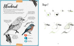 Alternative view 9 of The Kew Book of Drawing Flora and Fauna: 20 stunning step-by-step tutorials