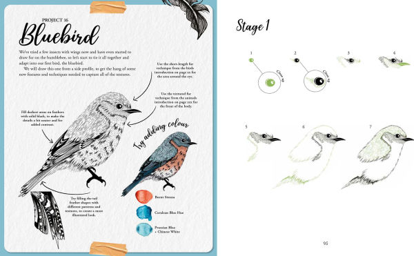The Kew Book of Drawing Flora and Fauna: 20 stunning step-by-step tutorials