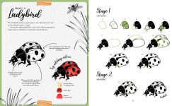 Alternative view 10 of The Kew Book of Drawing Flora and Fauna: 20 stunning step-by-step tutorials