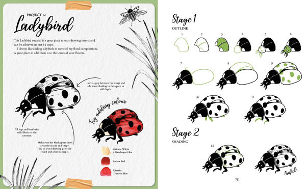 The Kew Book of Drawing Flora and Fauna: 20 stunning step-by-step tutorials