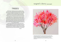 Alternative view 5 of The Colour Mixing Guide: Watercolour Woodland