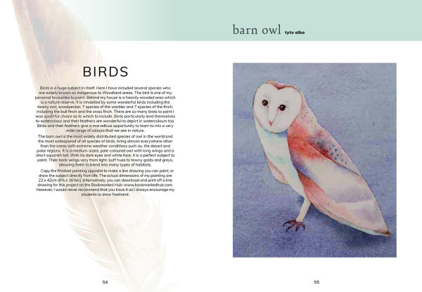 The Colour Mixing Guide: Watercolour Woodland