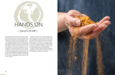 Alternative view 8 of Drawn from the Wild: A practical guide to making your own foraged art materials