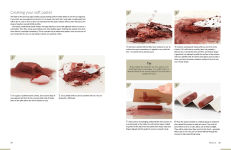 Alternative view 10 of Drawn from the Wild: A practical guide to making your own foraged art materials