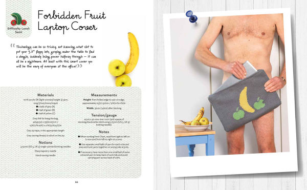 Nudinits at Home: 19 naughty knitting patterns for home accessories