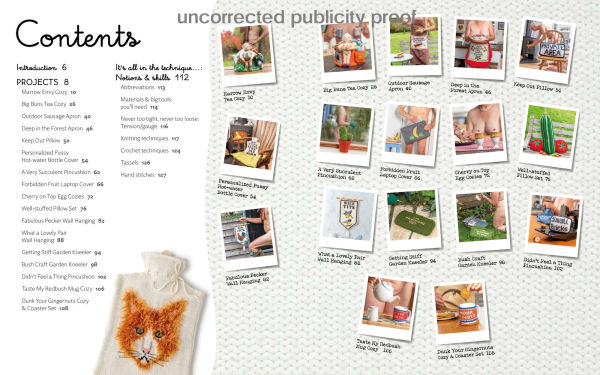Nudinits at Home: 19 naughty knitting patterns for home accessories