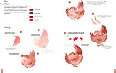 Alternative view 3 of Paint 50: Watercolour Nature: From basic shapes to amazing paintings in super-easy steps