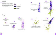 Alternative view 4 of Paint 50: Watercolour Nature: From basic shapes to amazing paintings in super-easy steps
