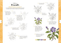Alternative view 7 of 10 Step Drawing: Botanicals: Draw over 50 plants in 10 easy steps