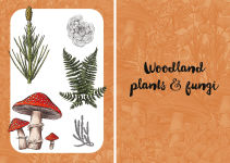 Alternative view 8 of 10 Step Drawing: Botanicals: Draw over 50 plants in 10 easy steps