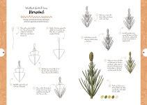 Alternative view 9 of 10 Step Drawing: Botanicals: Draw over 50 plants in 10 easy steps