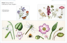 Alternative view 6 of Trish Burr's Nature Embroidery Transfers: 75 iron-on designs