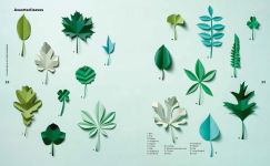 Alternative view 10 of Kew Book of Paper Gardens, The: 50 botanical paper projects to make