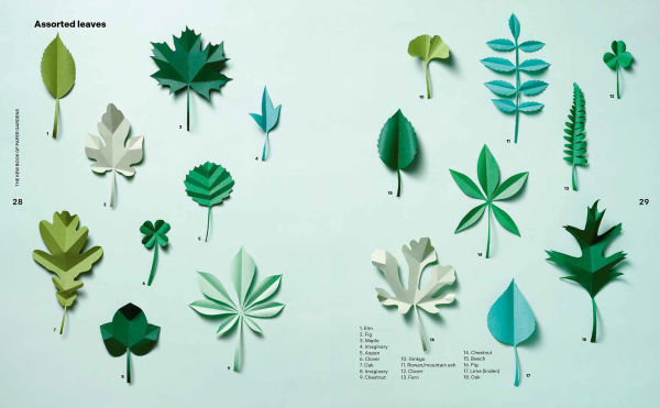 Kew Book of Paper Gardens, The: 50 botanical paper projects to make